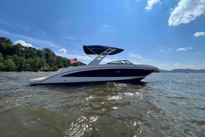 Sea Ray SDX 290