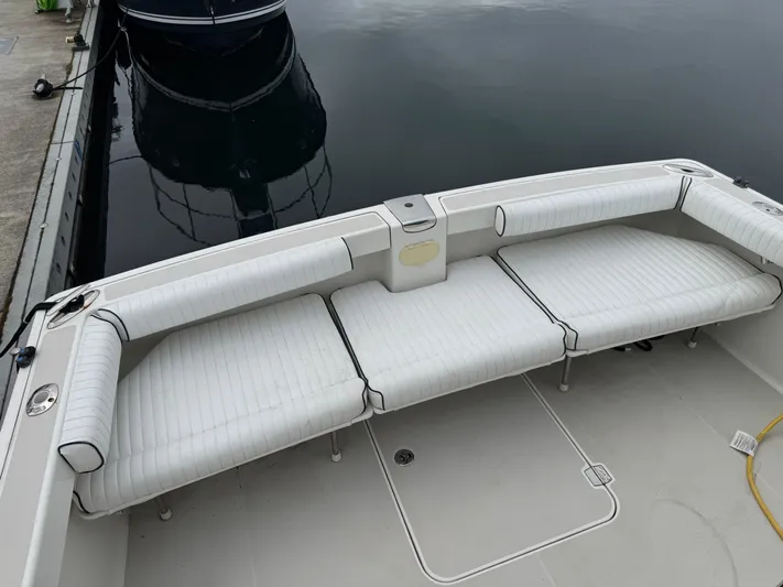 Change Of Pace Yacht Photos Pics 2008 Back Cove 29 Hardback boat with white cushioned seating at the dock.