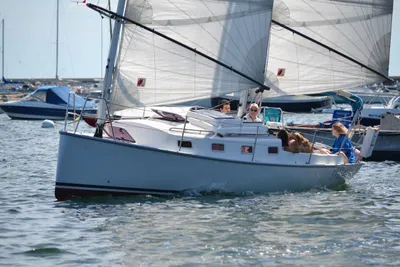 Martin Presto 30