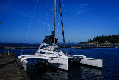 Dragonfly 28