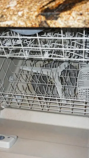 Sunset Grille Yacht Photos Pics 