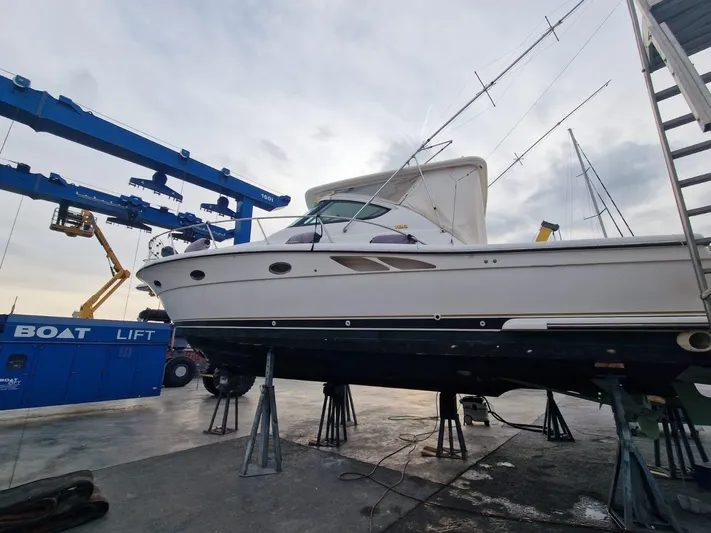  Yacht Photos Pics Immagine WhatsApp 2024-11-22 ore 11.27.16_95257a8b