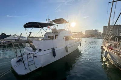 1982 Princess 41 fly