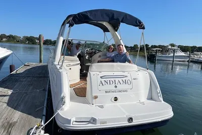 Sea Ray 260 Sundancer
