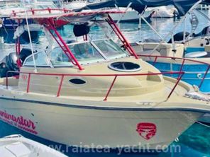 Seaswirl Striper 2101 Walkaround O/B
