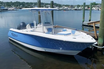 Robalo R230
