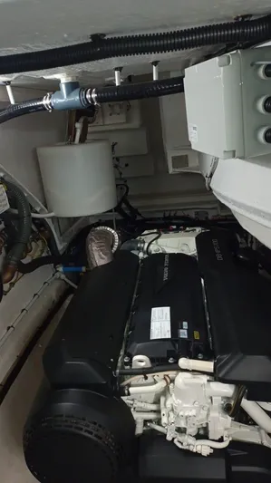 P1 Yacht Photos Pics 