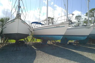 Catalina 36 MkII