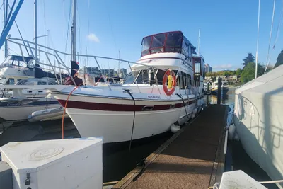 Nova 36 Tri Cabin