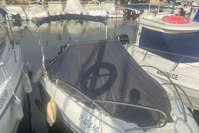 2010 Quicksilver 555