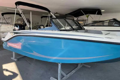 2022 Bayliner Element M17