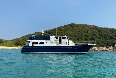 Seahorse 52