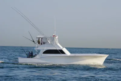 Blackwell Custom Carolina