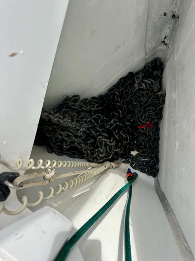 Edwina Yacht Photos Pics 