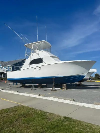 Hollywood Yacht Photos Pics 