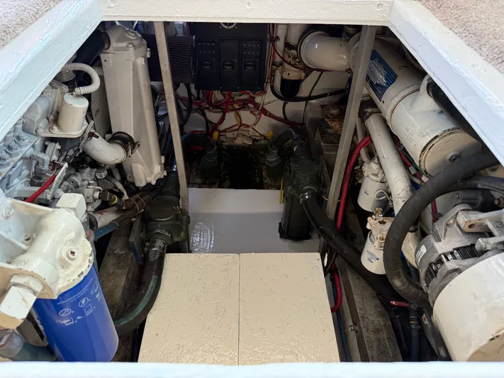 Hollywood Yacht Photos Pics 