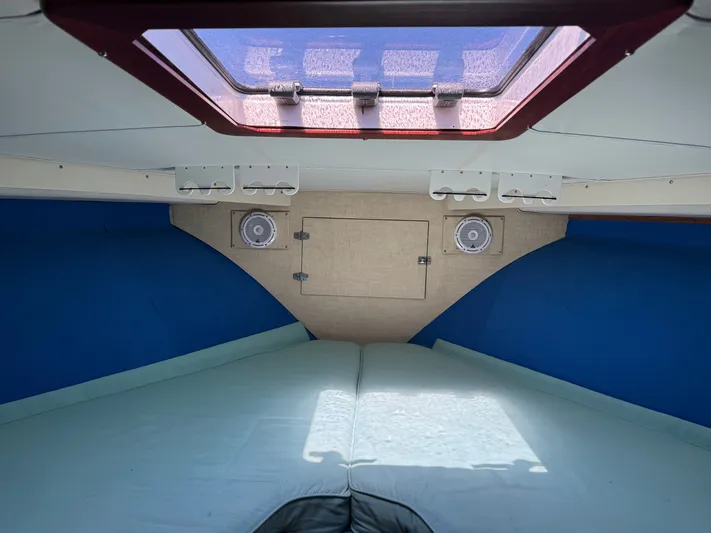 Hollywood Yacht Photos Pics 