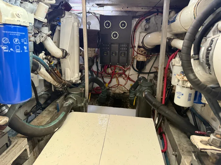 Hollywood Yacht Photos Pics 