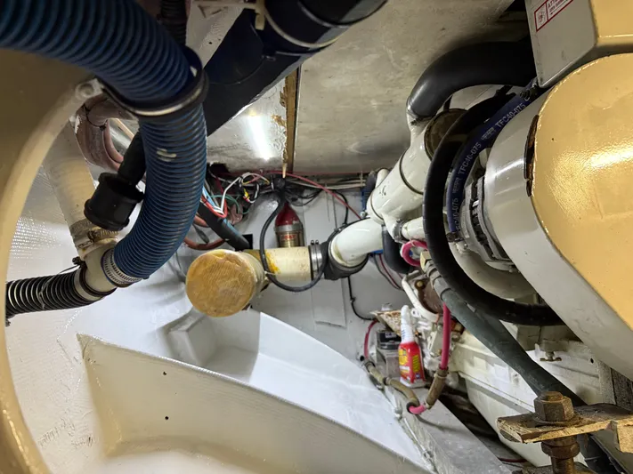 Hollywood Yacht Photos Pics 