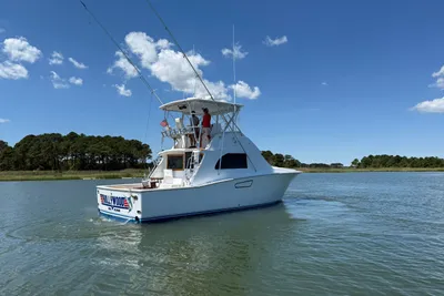 Bertram 38