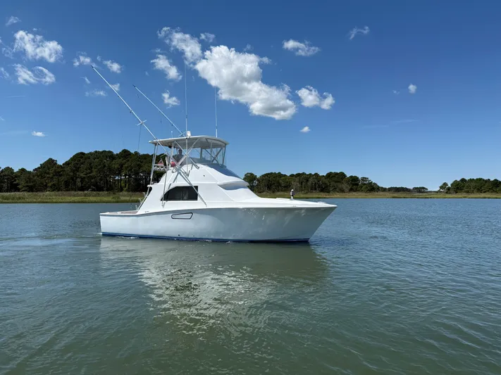 Hollywood Yacht Photos Pics 