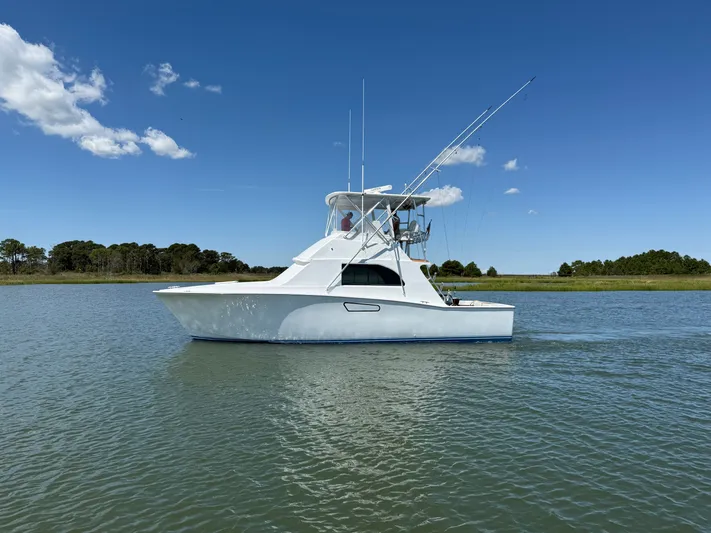 Hollywood Yacht Photos Pics 