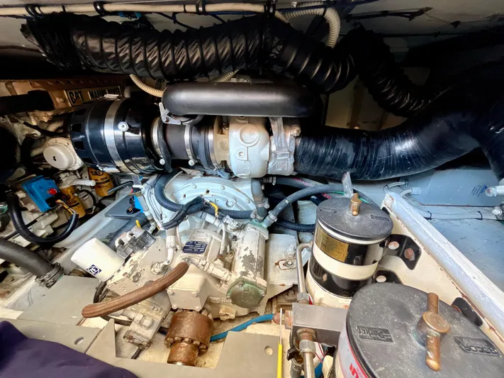 Richie Rich Yacht Photos Pics 