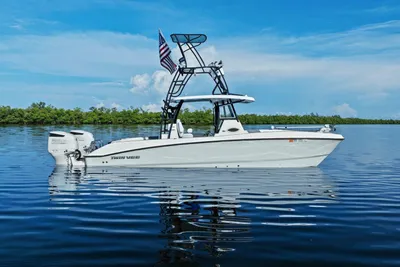 Twin Vee 280 gfx