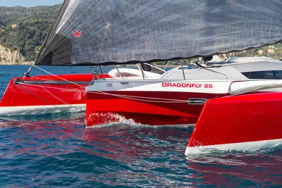 Dragonfly 25