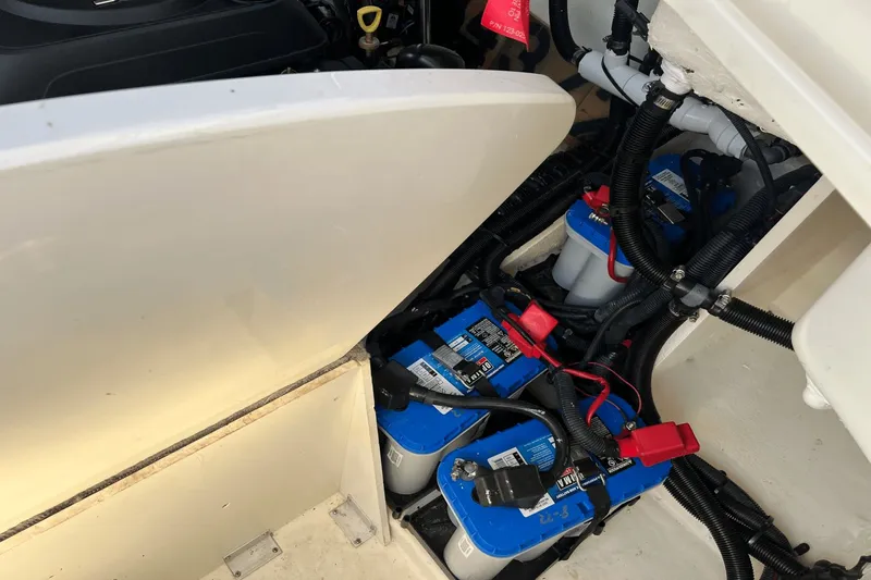 2018 Sea Ray 310 Slx Yacht Photos Pics 