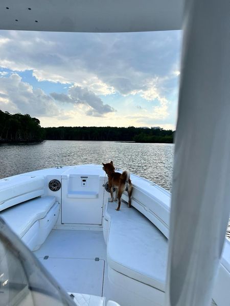 2004 Intrepid Outboard