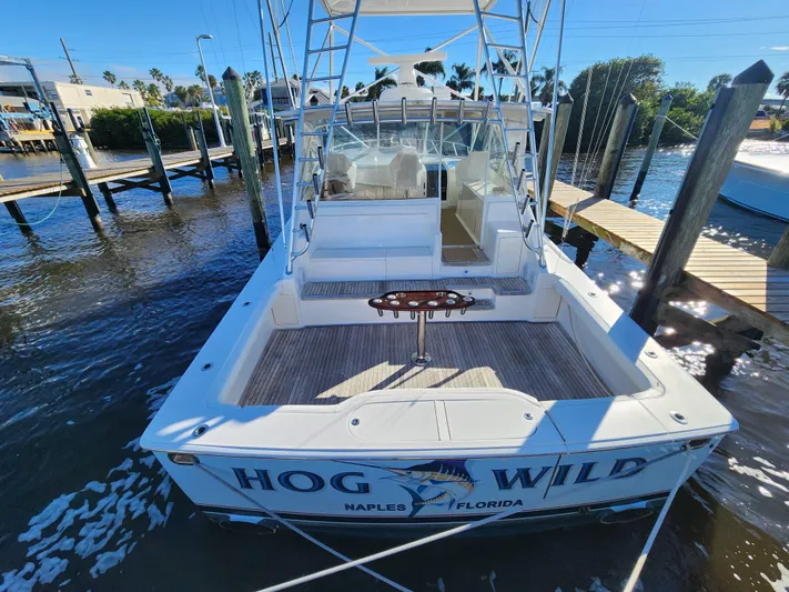 Hog Wild Yacht Photos Pics 