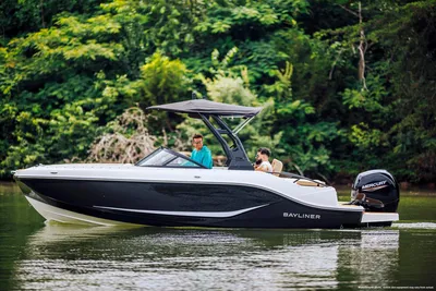 Bayliner D20