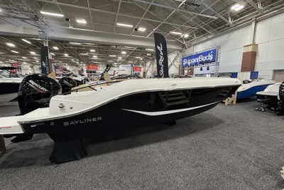Bayliner D20