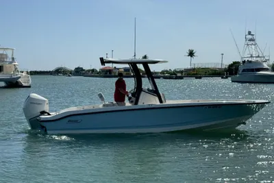 Boston Whaler 250 Dauntless