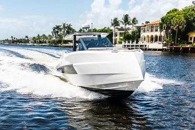 Astondoa 377