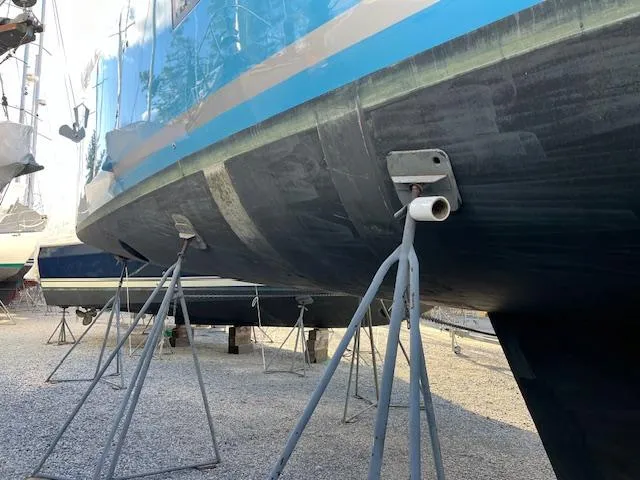 True North Yacht Photos Pics 