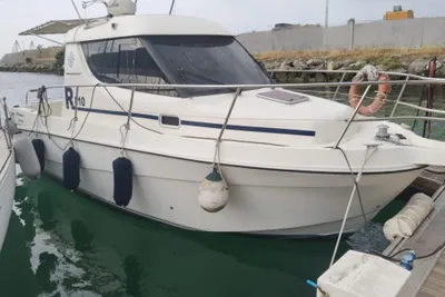 2007 Rodman 810