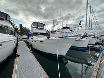 Bayliner 3888 Motoryacht