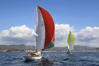 Matthiesen & Paulsen SLOOP