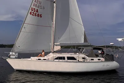 Catalina Morgan 440