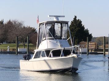 Bertram 31 Sportfisher