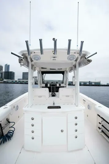 Reel Lady Yacht Photos Pics 