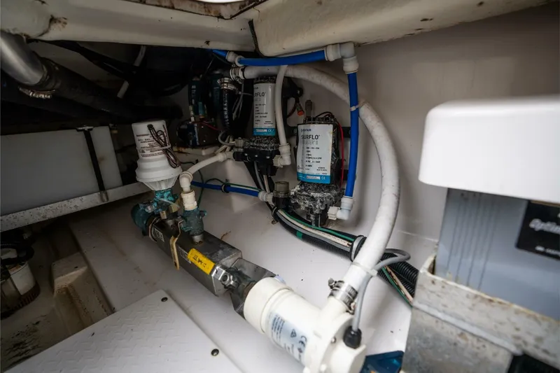 Reel Lady Yacht Photos Pics 