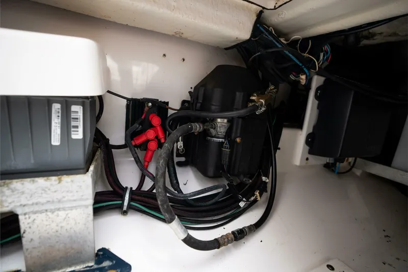 Reel Lady Yacht Photos Pics 