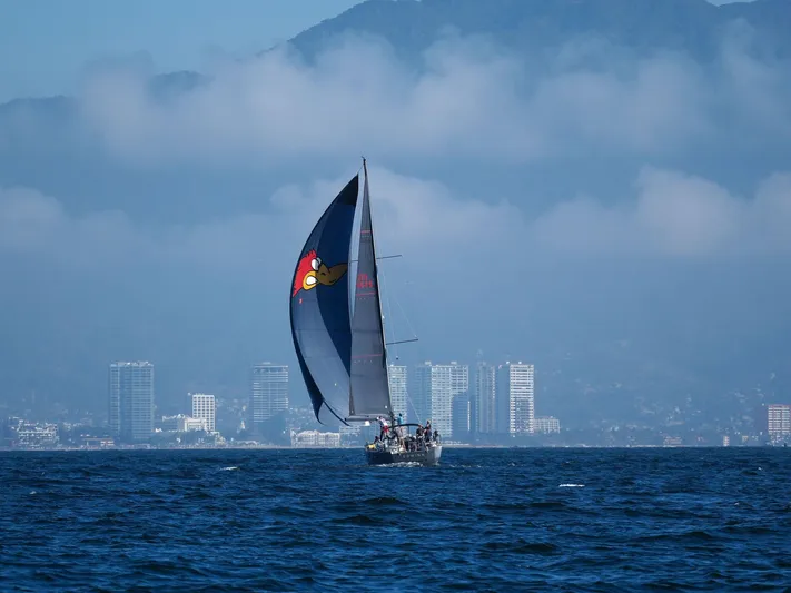 Edwina Yacht Photos Pics 2018 Jeanneau 54 sailboat with colorful spinnaker on open water, cityscape in background.