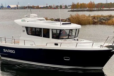 Sargo 31