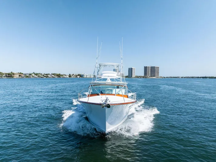 Rebel Yacht Photos Pics 
