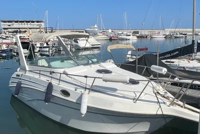 1992 Celebrity 245 sport