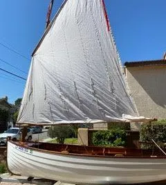 Custom Ilurs Sail and Oar